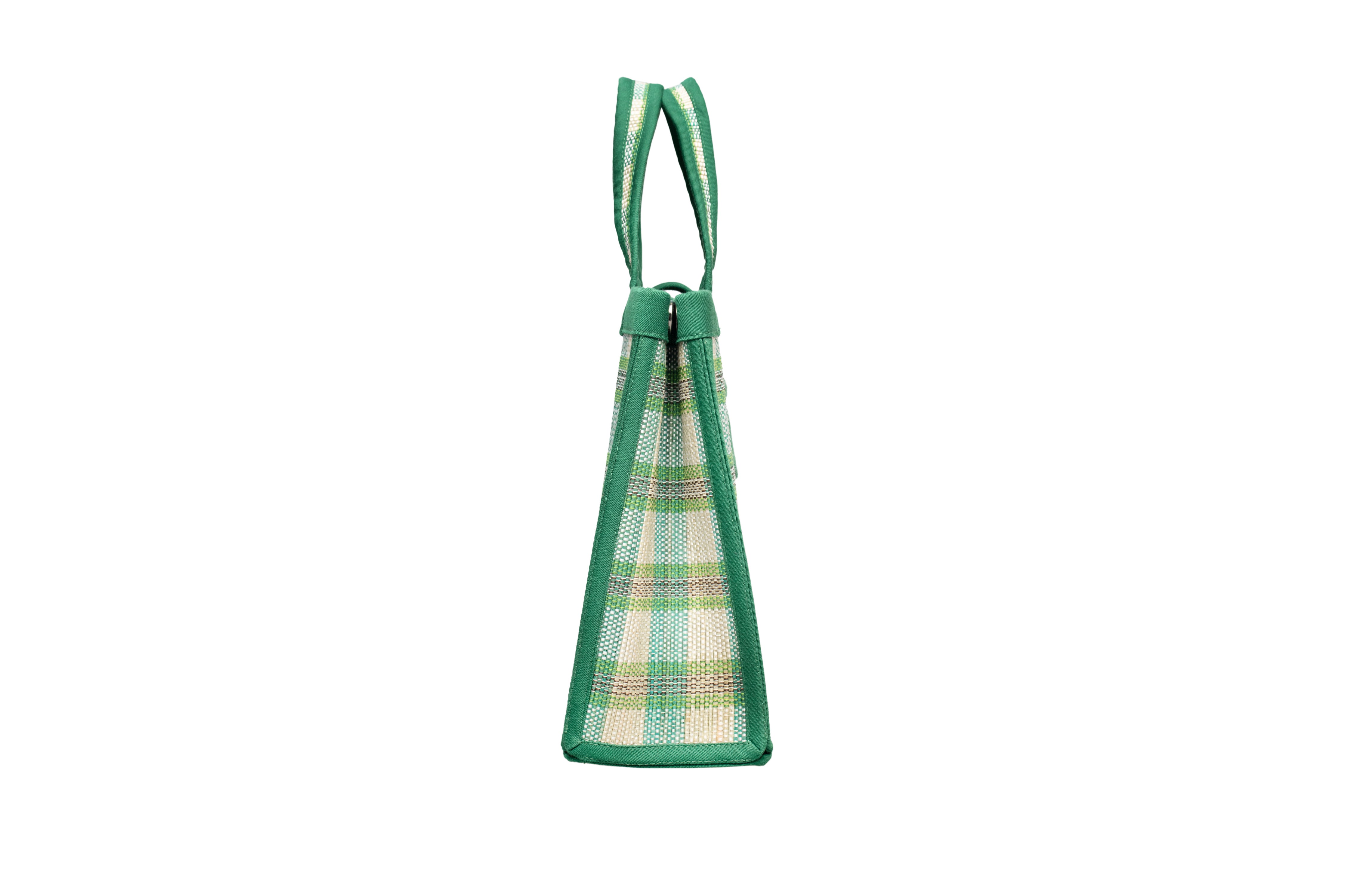 Darwin Mini Gallery Tote